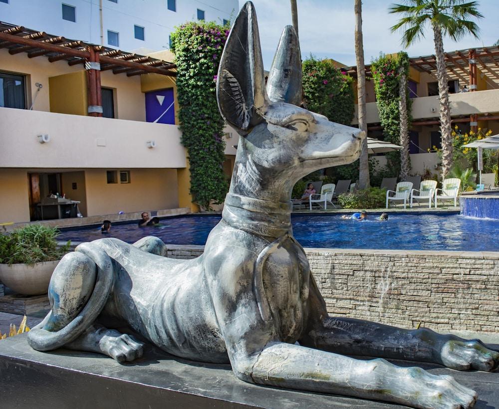 Hotel Los Patios Cabo San Lucas Eksteriør bilde